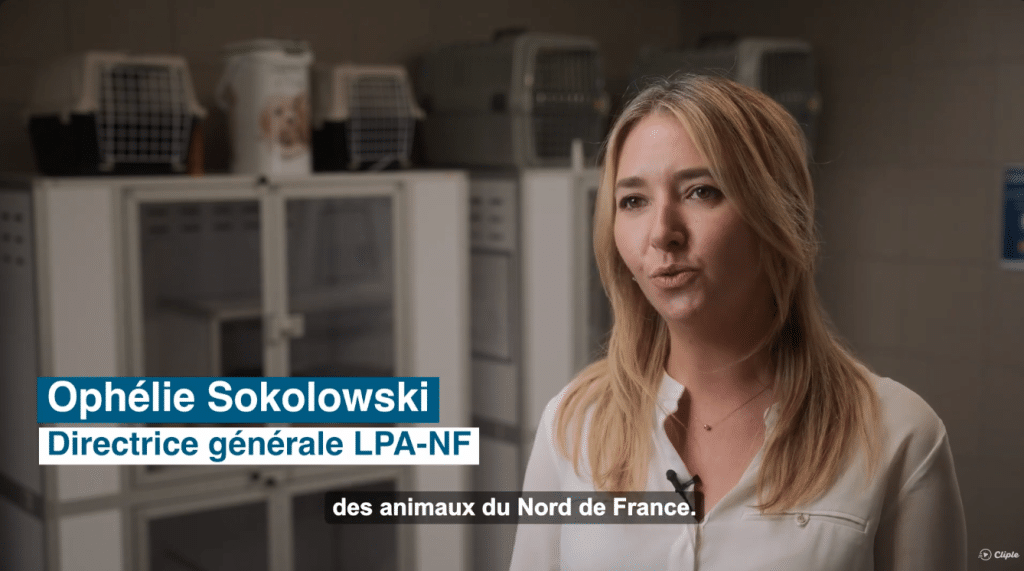 Association protection animale : comment la LPA Nord de la France recueille les animaux abandonnés