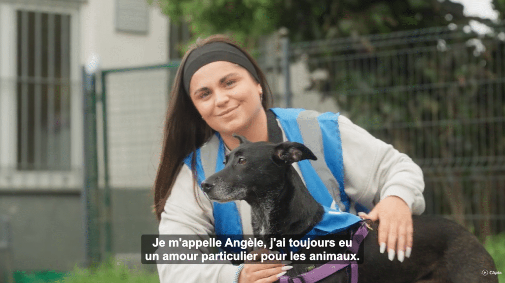 Association protection animale : comment la LPA Nord de la France recueille les animaux abandonnés